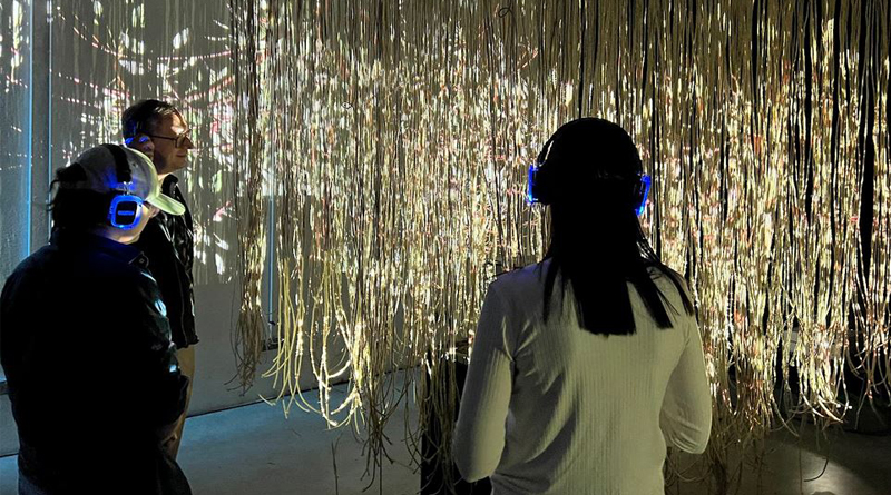 Installation sonore sur les insectes